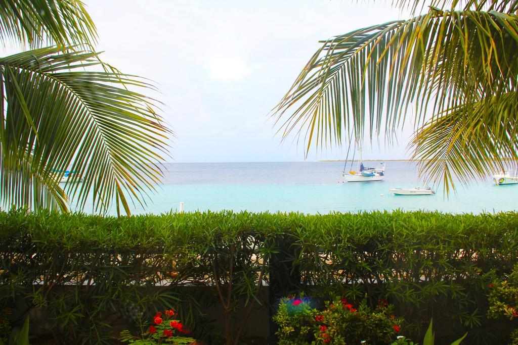 Bonaire Seaside Apartments Eksteriør bilde