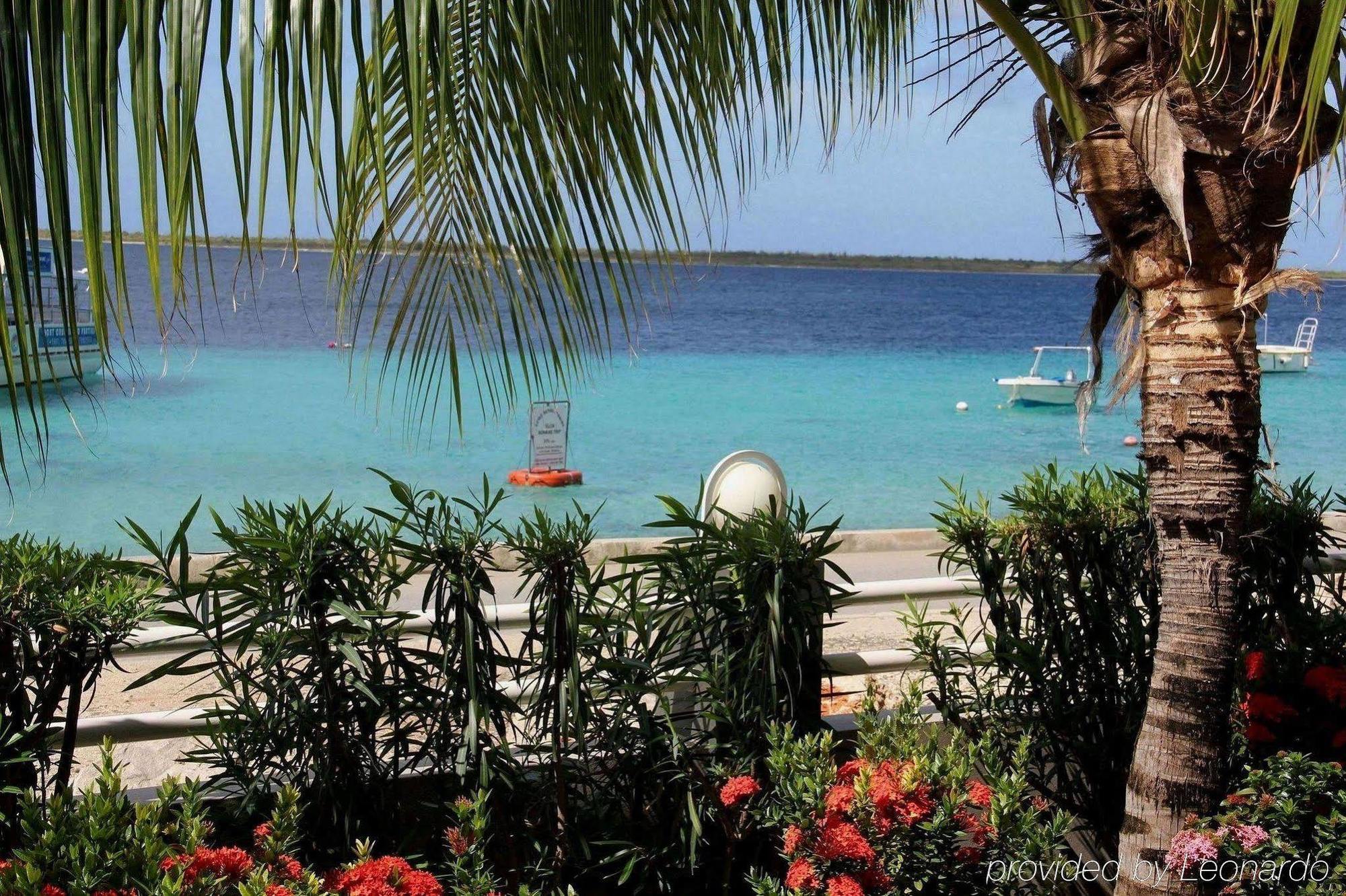 Bonaire Seaside Apartments Fasiliteter bilde