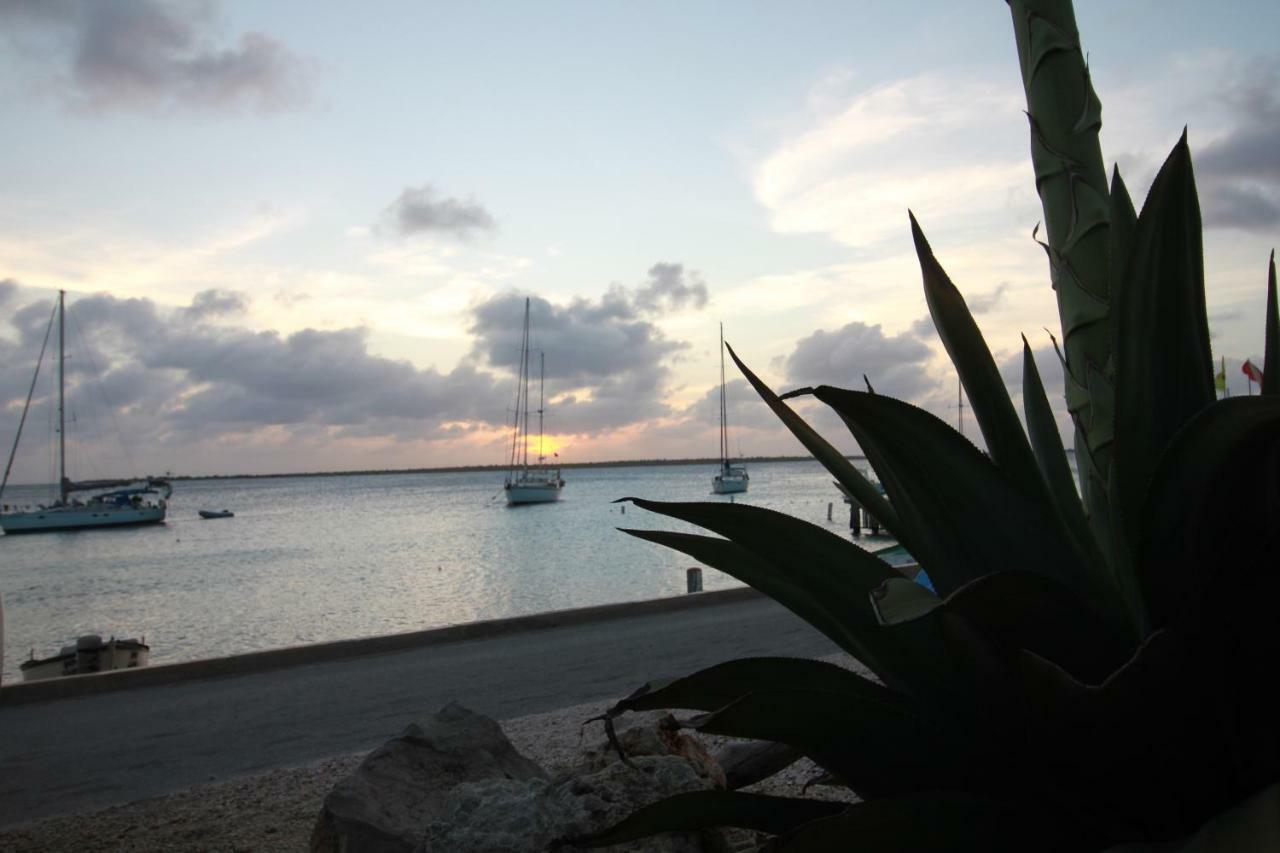 Bonaire Seaside Apartments Eksteriør bilde